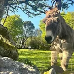 Peaceful, Relaxing And Warm 2-bedroom, Sleeps 4, Self-catering Galtee Mountain - For Mitchelstown, Cahir, Cashel And Cork, 1hr Drive From 4 Cities Cahir