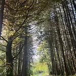 Apartman Peaceful, Relaxing And Warm 2-bedroom, Sleeps 4, Self-catering Galtee Mountain - For Mitchelstown, Cahir, Cashel And Cork, 1hr Drive From 4 Cities *