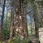 Apartman Peaceful, Relaxing And Warm 2-bedroom, Sleeps 4, Self-catering Galtee Mountain - For Mitchelstown, Cahir, Cashel And Cork, 1hr Drive From 4 Cities Cahir