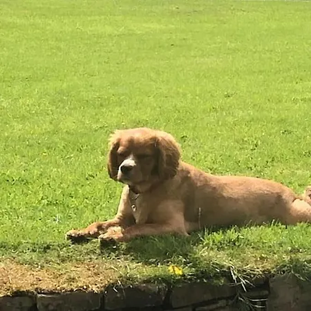 Peaceful, Relaxing And Warm 2-bedroom, Sleeps 4, Self-catering Galtee Mountain - For Mitchelstown, Cahir, Cashel And Cork, 1hr Drive From 4 Cities Апартаменты Кэр