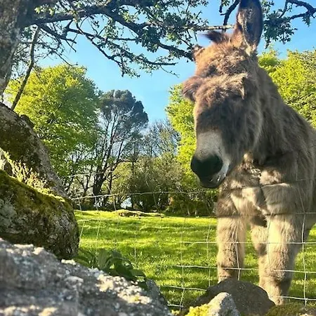 Peaceful, Relaxing And Warm 2-bedroom, Sleeps 4, Self-catering Galtee Mountain - For Mitchelstown, Cahir, Cashel And Cork, 1hr Drive From 4 Cities קאהיר