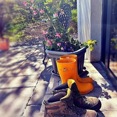 Apartment Peaceful, Relaxing And Warm 2-bedroom, Sleeps 4, Self-catering Galtee Mountain - For Mitchelstown, Cahir, Cashel And Cork, 1hr Drive From 4 Cities