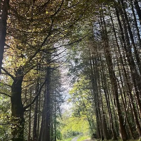 Апартаменты Peaceful, Relaxing And Warm 2-bedroom, Sleeps 4, Self-catering Galtee Mountain - For Mitchelstown, Cahir, Cashel And Cork, 1hr Drive From 4 Cities *