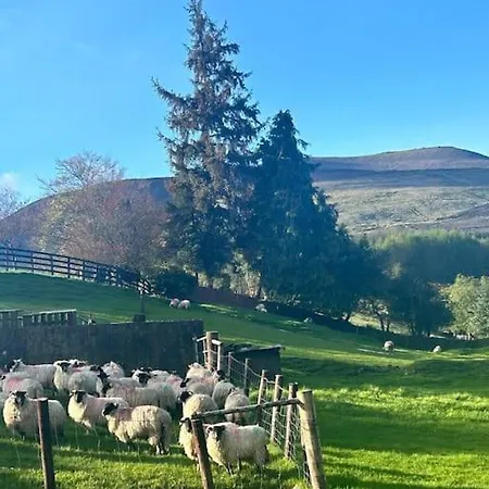 Peaceful, Relaxing And Warm 2-bedroom, Sleeps 4, Self-catering Galtee Mountain - For Mitchelstown, Cahir, Cashel And Cork, 1hr Drive From 4 Cities דירה קאהיר