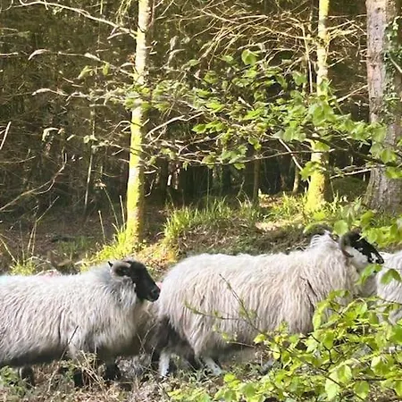 Peaceful, Relaxing And Warm 2-bedroom, Sleeps 4, Self-catering Galtee Mountain - For Mitchelstown, Cahir, Cashel And Cork, 1hr Drive From 4 Cities Apartment *