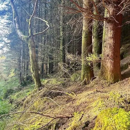 Apartment Peaceful, Relaxing And Warm 2-bedroom, Sleeps 4, Self-catering Galtee Mountain - For Mitchelstown, Cahir, Cashel And Cork, 1hr Drive From 4 Cities *