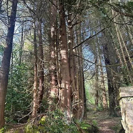 דירה Peaceful, Relaxing And Warm 2-bedroom, Sleeps 4, Self-catering Galtee Mountain - For Mitchelstown, Cahir, Cashel And Cork, 1hr Drive From 4 Cities קאהיר